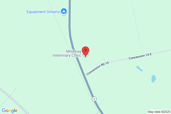Mildmay Veterinary Centre