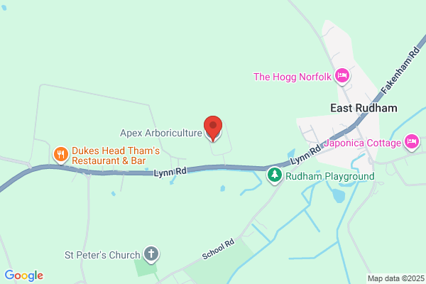 Apex Arborists