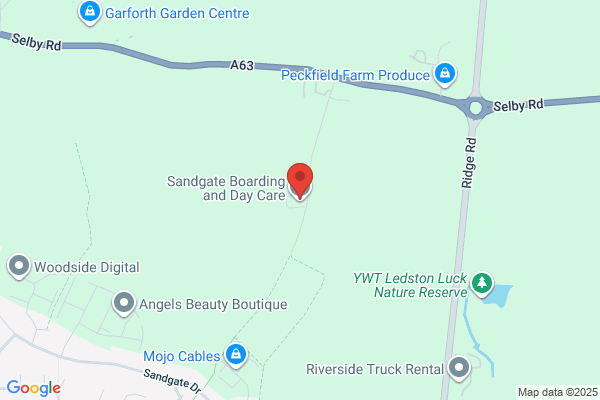 Sandgate Boarding Kennels