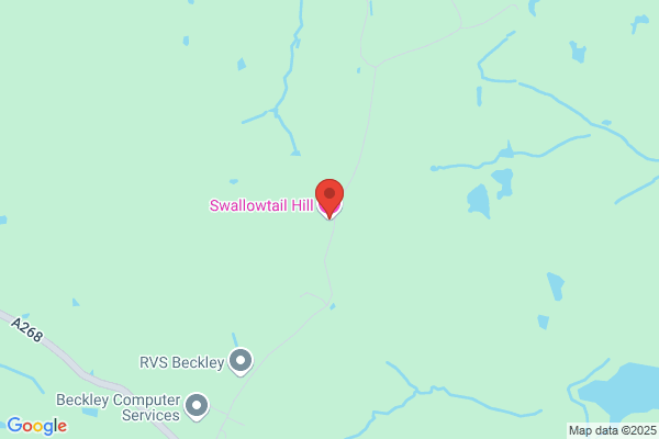Swallowtail Hill