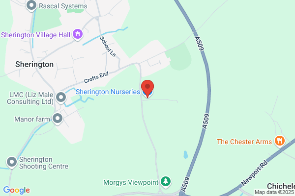 Seddington Nursery