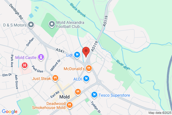 Mold Clinic