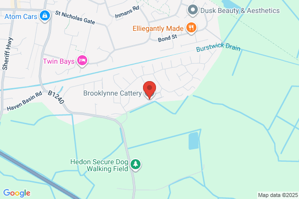 Brooklyn Boarding Cattery