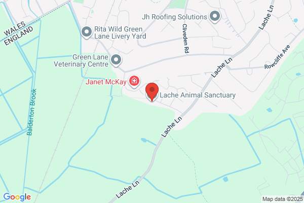 Lache Animal Sanctuary Charity Shop Trustees