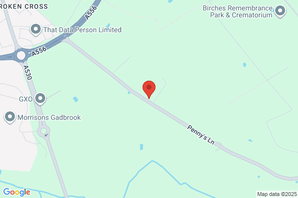 Black Cat