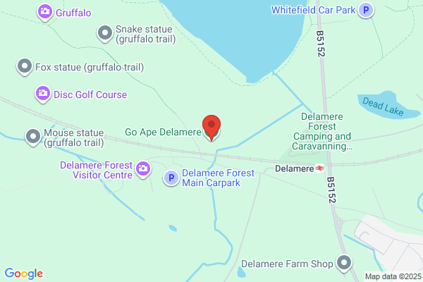 Go Ape Delamere