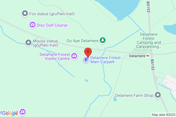 Forest Enterprise