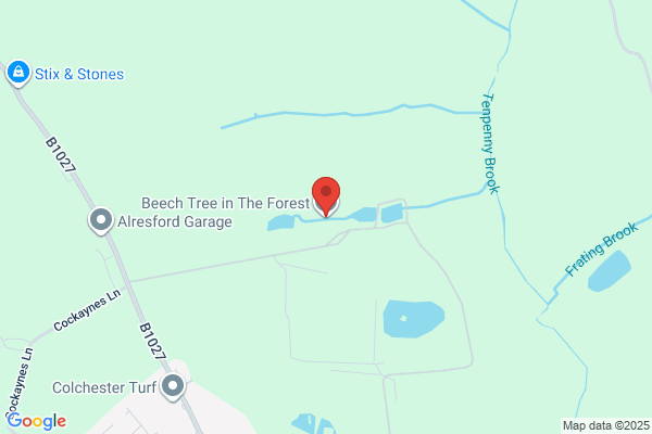Beech Tree School