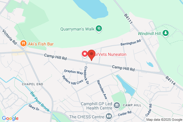 Camphill Dental Practice