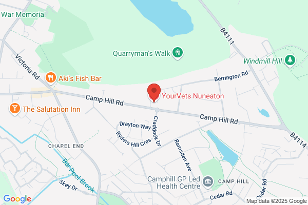 YourVets Nuneaton