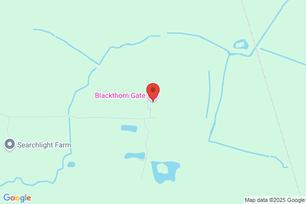 Blackthorn Gate