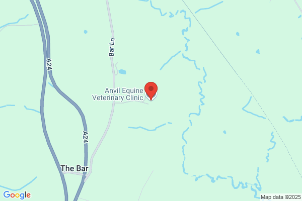 Anvil Equine Veterinary Clinic