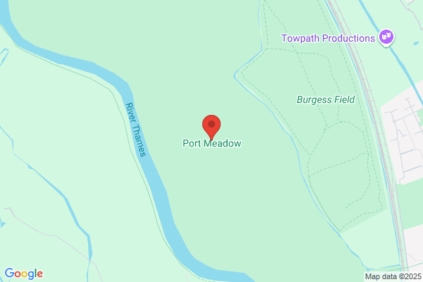 Port Meadow Designs