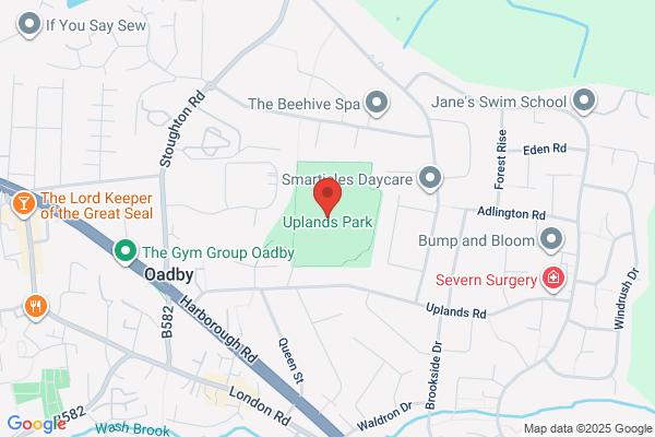 LEICESTER-SPARK LTD