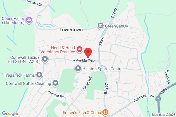 Puffins Day Nursery