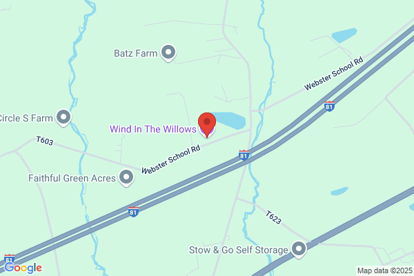 Wind In The Willows