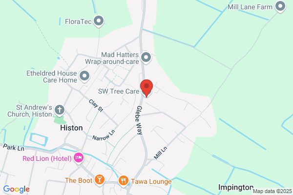 LW Tree and Hedge Care