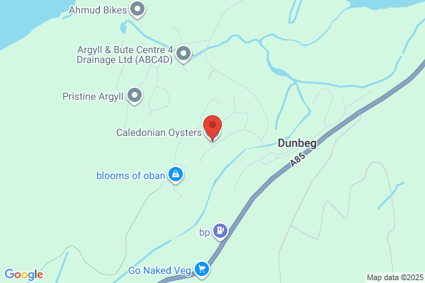 The Caledonian Oyster Co.Ltd,