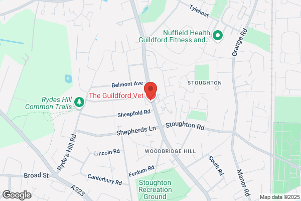 G M Cars Of Guilford