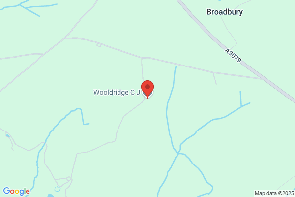 C J Wooldridge