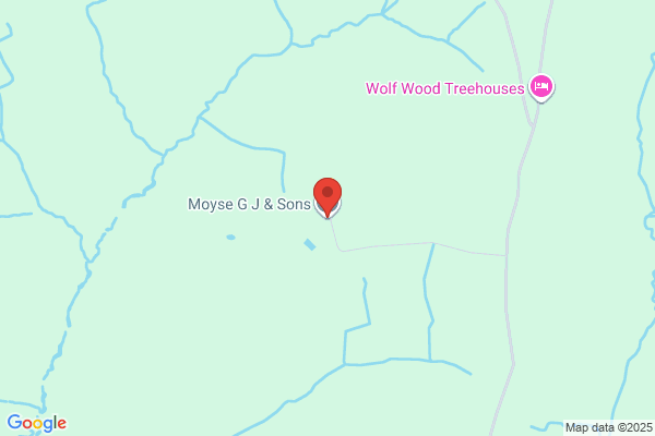 G J Moyse & Sons