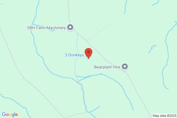 3 Donkeys