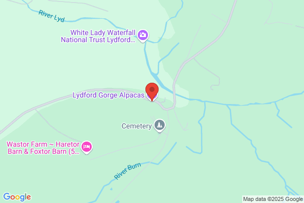 Lydford Gorge Alpacas