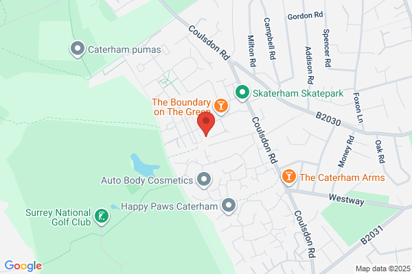MiNightVet Caterham