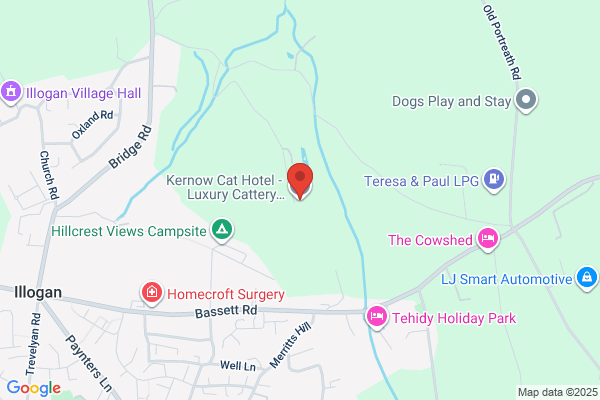 Kernow Cattery