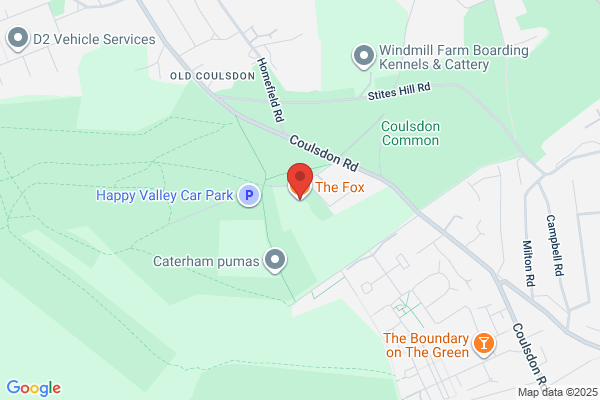 The Fox