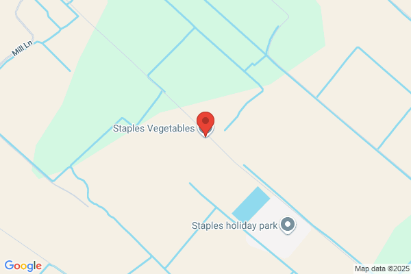 Staples Vegetables Ltd