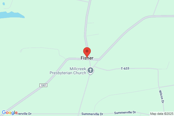 Fisher P A