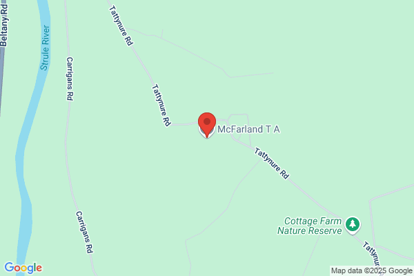 T A McFarland