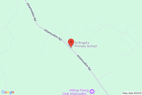 St Brigid's Primary School