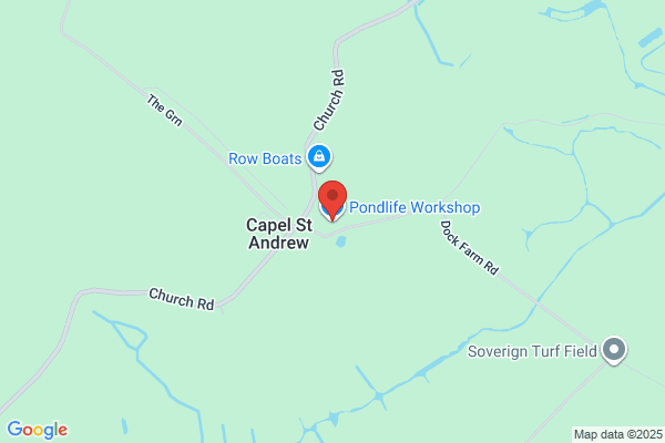Pondlife Workshop