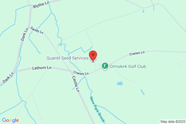 Quantil Ltd