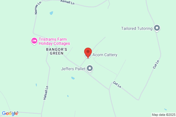 Acorn Cattery