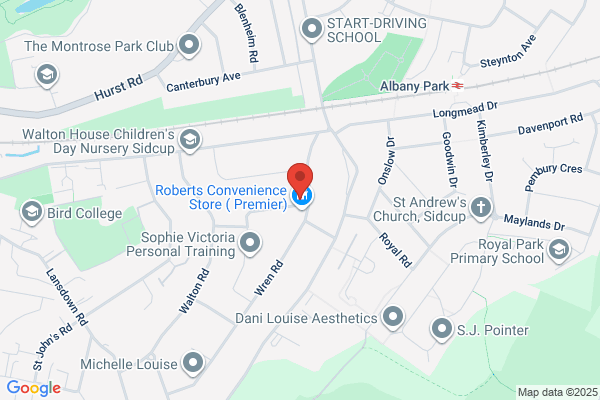 Bluebird Security Systems