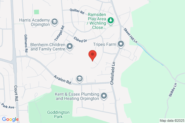 Rita Gonzales