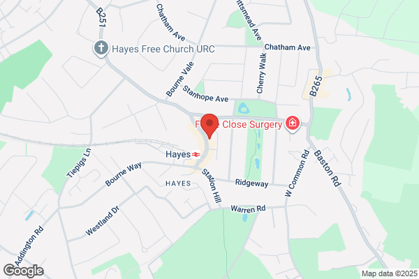 Hayes Florists