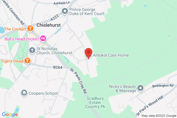 Antokol Home