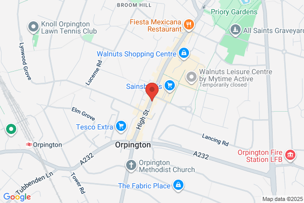 The Fortune