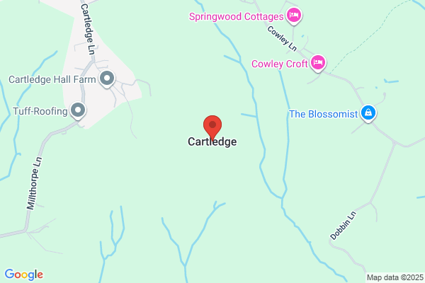 D Cartledge