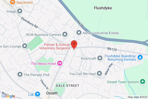 Palmer & Duncan Veterinary Surgeons
