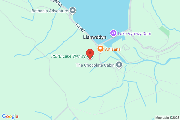 R S P B Reserve (Lake Vyrnwy)