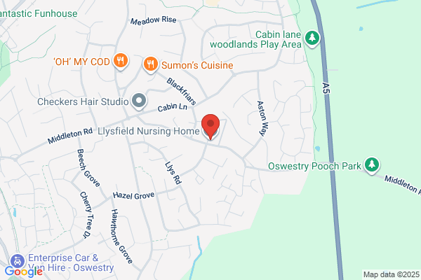 Llysfield Nursing Home