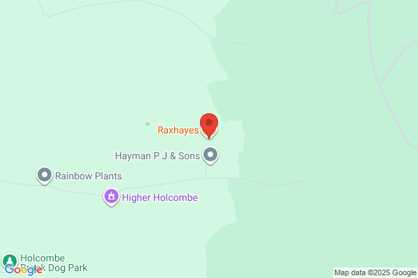 Raxhayes