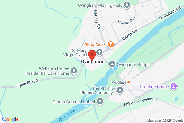 The Buzz Factory