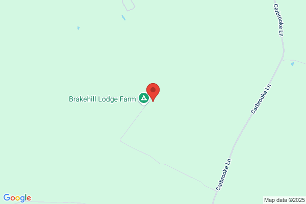 Tree Surgery Services