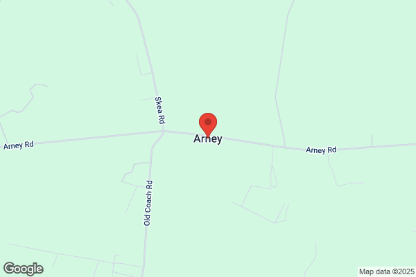 N Arney